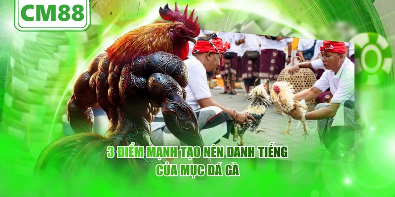 3 điểm mạnh tạo nên danh tiếng của mục đá gà