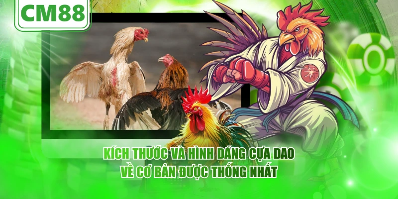 Kích thước và hình dáng cựa dao về cơ bản được thống nhất