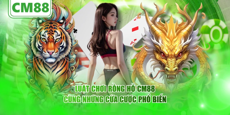 Luật chơi Rồng Hổ CM88 cùng những cửa cược phổ biến