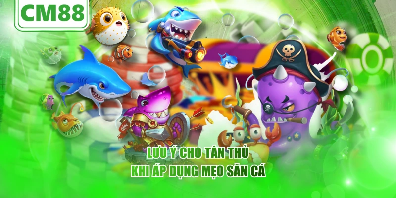 Lưu ý cho tân thủ khi áp dụng mẹo săn cá