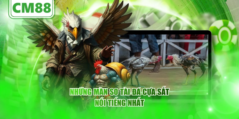 Những màn so tài đá cựa sắt nổi tiếng nhất