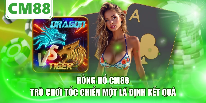 Rồng Hổ CM88