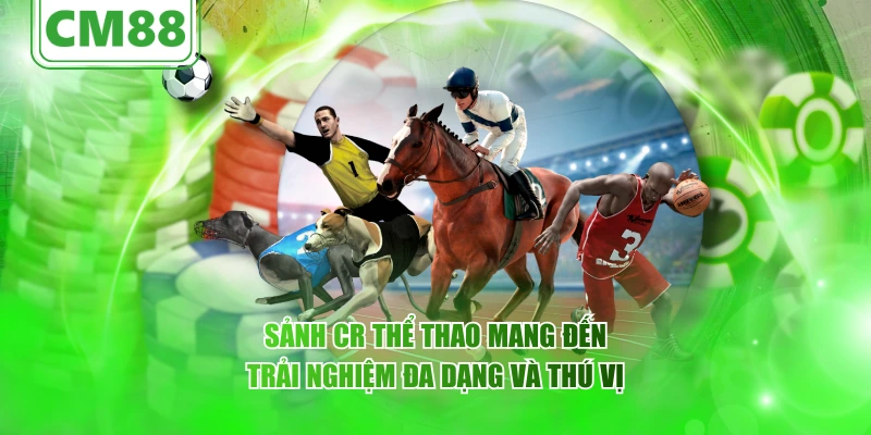 Sảnh CR thể thao mang đến trải nghiệm đa dạng và thú vị